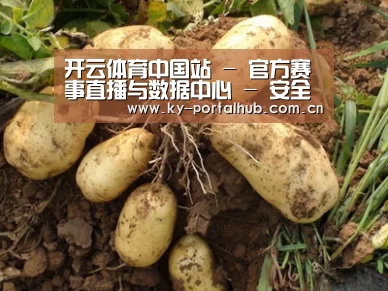 种植基地六