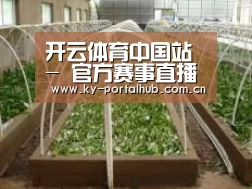 环境展示五