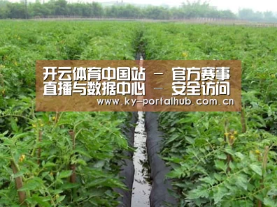 种植基地三