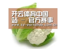 产品名称九