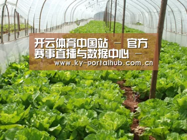 种植基地五