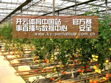 种植基地二