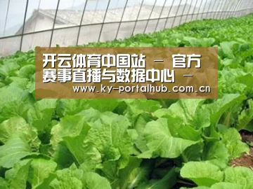 种植基地一