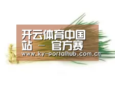 产品名称二