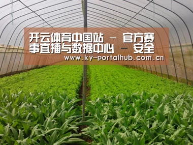 种植基地四