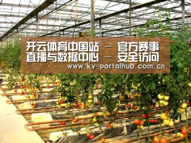 种植基地二(图1)