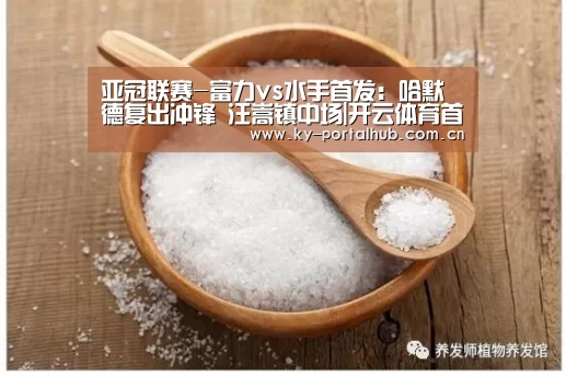 亚冠联赛-富力vs水手首发:哈默德复出冲锋 汪嵩镇中场|开云体育首页(图3) 开云体育