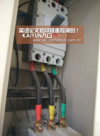 英语论文如何查重检测的?-KAIYUN入口(图3) 开云体育首页