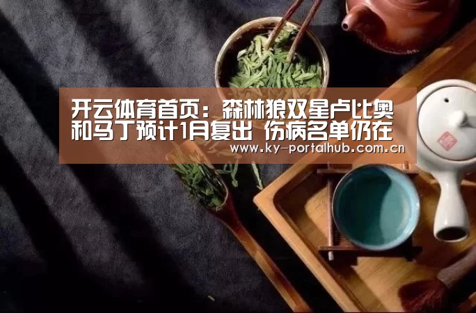 开云体育首页:森林狼双星卢比奥和马丁预计1月复出 伤病名单仍在扩大(图1) KAIYUN入口