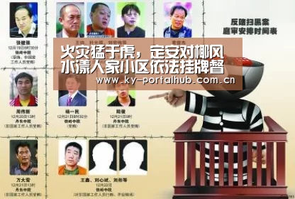 火灾猛于虎,定安对椰风水漾人家小区依法挂牌督办‘开云体育’(图2) 开云体育