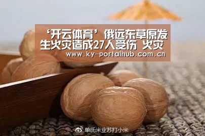 KAIYUN入口