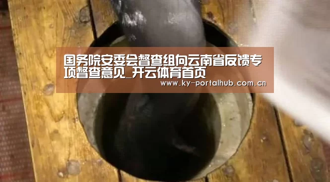 国务院安委会督查组向云南省反馈专项督查意见_开云体育首页(图2) 开云体育