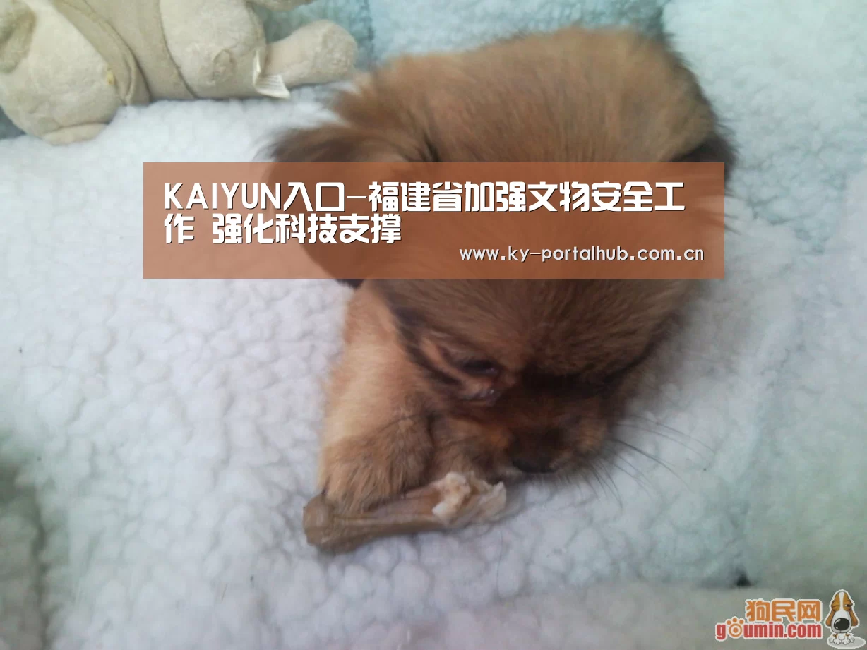 开云体育首页