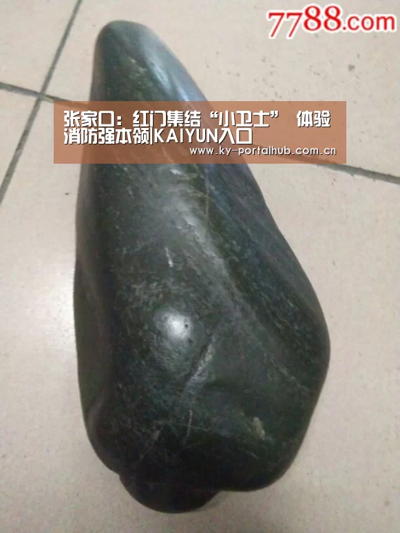 张家口:红门集结“小卫士” 体验消防强本领|KAIYUN入口(图1) 开云体育