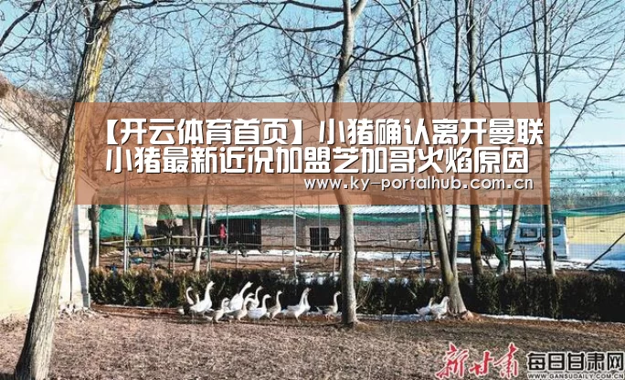 【开云体育首页】小猪确认离开曼联 小猪最新近况加盟芝加哥火焰原因(图2) KAIYUN入口