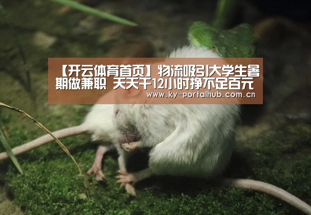 开云体育