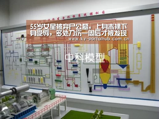 55岁女星被弃尸公墓,上身赤裸下身受辱,多处刀伤一周后才被发现‘开云体育首页’(图3) 开云体育首页