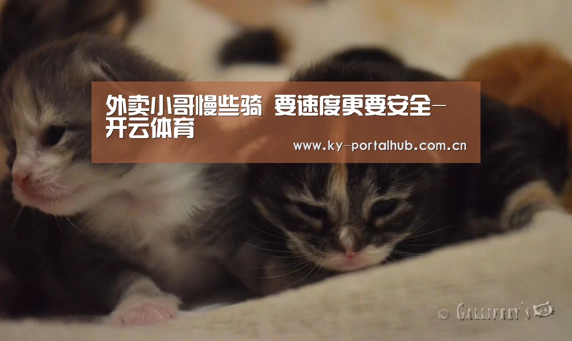 外卖小哥慢些骑 要速度更要安全-开云体育(图2) 开云体育首页